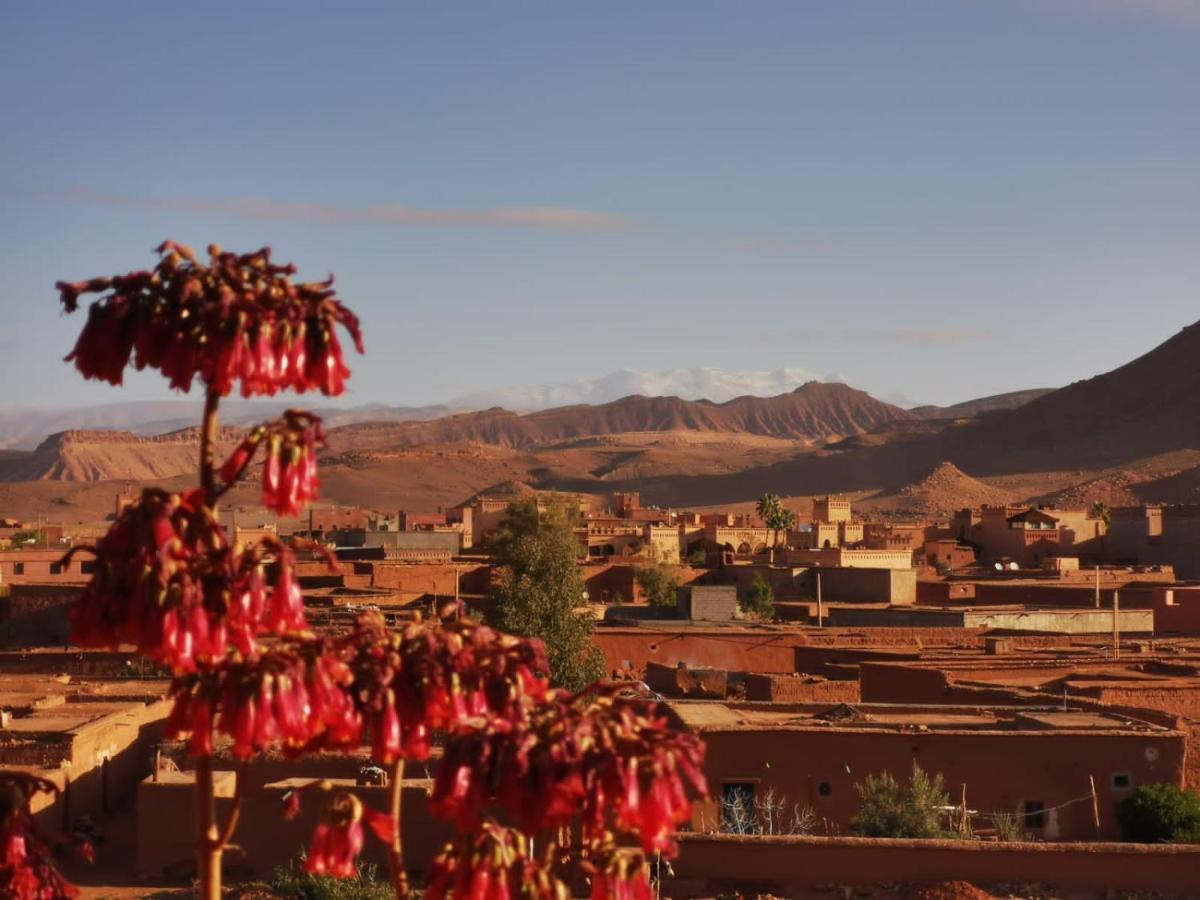 Riad Tigmi Du Soleil Ait Benhaddou Exteriér fotografie